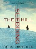 The Sledding Hill