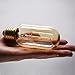 ZZ Lighting Vintage Antique Bulb Helical Heater Bulb E26 Base Dimmable Edison Style 110V 360 Degree Beam Warm Light(4 Pack)