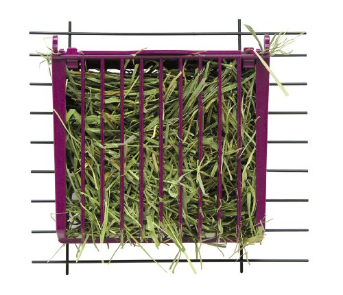 Super Pet Rabbit Hay Buffet Feeder Snap-Lock 