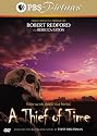 A Thief of Time