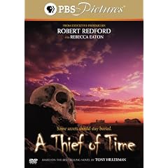 A Thief of Time