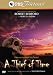 A Thief of Time