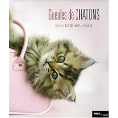 Gueules de chatons