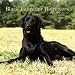 Black Labrador Retrievers 2005 Mini Wall Calendar