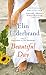 Beautiful Day: A Novel