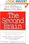 Second Brain