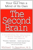 Second Brain