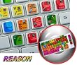 NEW PROPELLERHEAD REASON STICKER FOR KEYBOARD