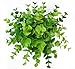 7 Capensia Bush, Artificial Plant by SonStarShop