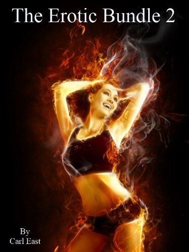 The Erotic Bundle 2