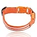 ILLUMISEEN LED Dog Collar USB Rechargeable - Bright & High Visibility Lighted Glow Collar for Pet Night Walking - Weatherproof, in 6 Colors & 6 Sizes (Orange Large)