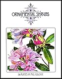 Ornamental shrubs