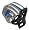Detroit Lions