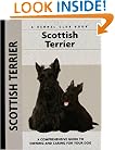 Scottish Terrier (Kennel Club Books)