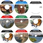 The In-Depth 9 Audio CD No Money Down, Flexible Seller, Real Estate Mentoring System book cover