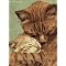 Be Your Cats' Perfect Owner (err, Slave)?