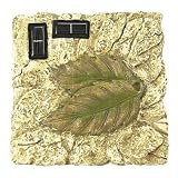Leaf Solar Stepping Stone