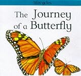 The journey of a butterfly