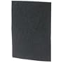 Bionaire A1402C - Replacement Filter