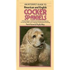 Petlove Guide to American and English Cocker Spaniels