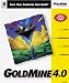 Goldmine 4.0