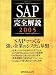 SAP完全解説 (2005) (日経BPムック)