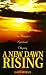 Book A NEW DAWN RISING: One Woman's Spiritual Odyssey