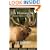Elk Hunting 301, Making It Happen in Elk Country