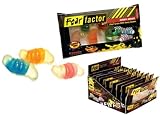 Fear Factor Grimy Grubs Candy