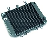 Produkt-Bild: Wasserk&uuml;hler Kawasaki ER 5, 96-