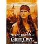 Grey Owl