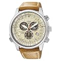 Citizen Promaster Piloten Funkuhr AS4020-44B