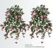 TWO 35" Artificial Fuchsia Hanging Flower Bushes _Fushia Red