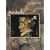 Arcimboldo