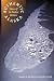Book Authentic Alaska: Voices of Its Native Writers (American Indian Lives)