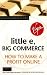 Little e, Big Commerce: How to Make a Profit Online (Virgin Business Guides)
