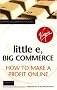 Little e, Big Commerce: How to Make a Profit Online (Virgin Business Guides)