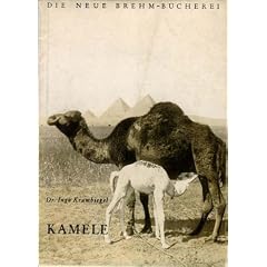 Kamele