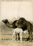 Kamele