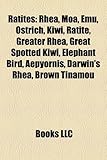 Ratites: Rhea, Moa, Emu, Ostrich, Kiwi, Ratite, Greater Rhea, Great Spotted Kiwi, Elephant Bird, Aepyornis, Darwin's Rhea, Brow-
