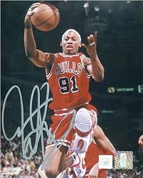 Dennis Rodman Signed 16X20 Photo - Chicago Bulls Rebounding - Authentic Celebrity Autographed