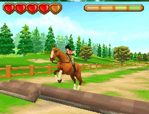 Ener-G Horse Rider image