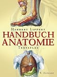 Handbuch Anatomie - Textatlas - Herbert Lippert, Wunna Lippert-Burmester, Wunna Lippert- Burmester