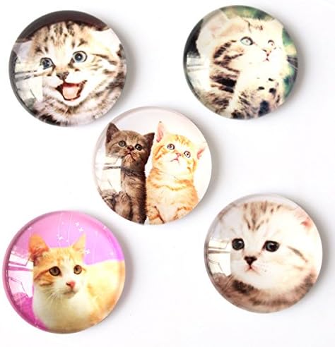 20pcs 25mm Assorted Kitten Photo Glass Cabochon Wholesale.Ring/ Necklace/Accessories Making Bead Supplies.Cat Kitty Charm Jewelry