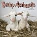 Baby Animals: 0