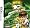 Ben 10: Protector of Earth (Nintendo DS)