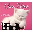 Cat Naps 2009 Page Per Day Daily Calendar