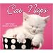 Cat Naps 2009 Page Per Day Daily Calendar Image