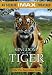 Kingdom of the Tiger