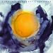 Timothy B. Schmit-Expando